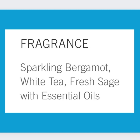 🔥White Tea & Sage WALLFLOWER Refill Bulbs 2pk-DAMAGE BOX - Picture 3 of 4